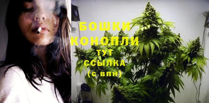 Марихуана Ganja  Новодвинск 